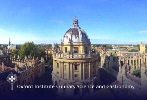 mahdi dihdashti ivan prof